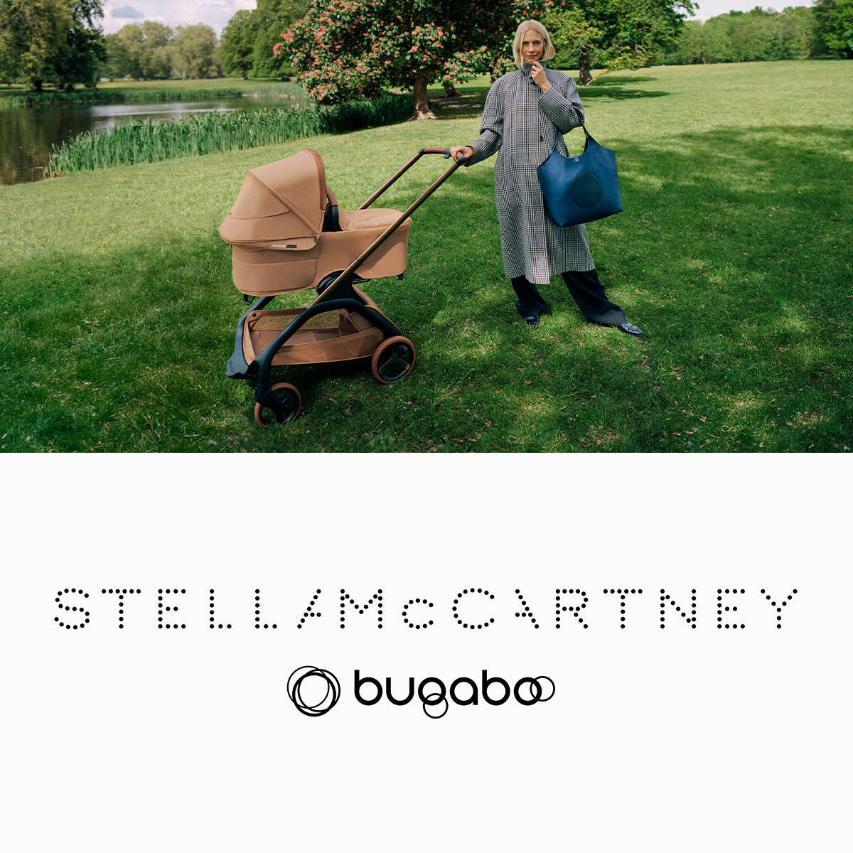 bugaboo_sqr_stella
