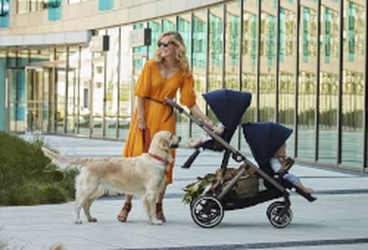 Cochecitos gemelares