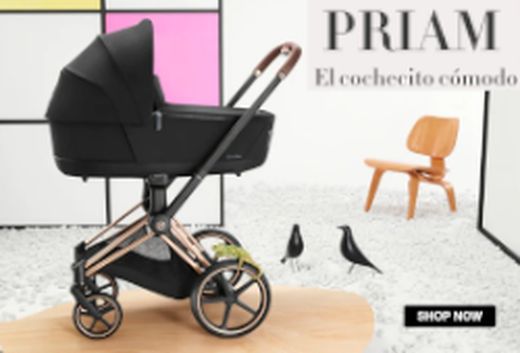 Cybex PRIAM