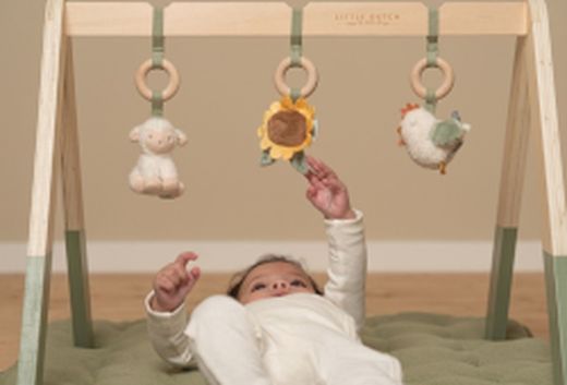 Gimnasios de Actividades