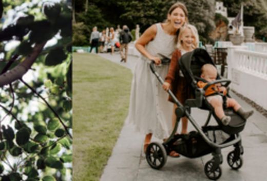 iCandy Lime - Descuento 15%