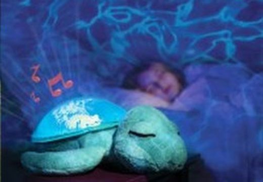 Proyectores y luces de compañía