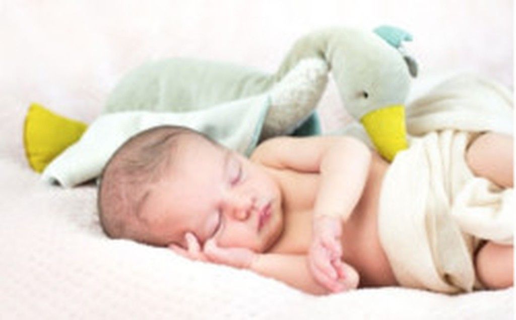 Mágicos peluches y dou dous con toda seguridad para el descanso de