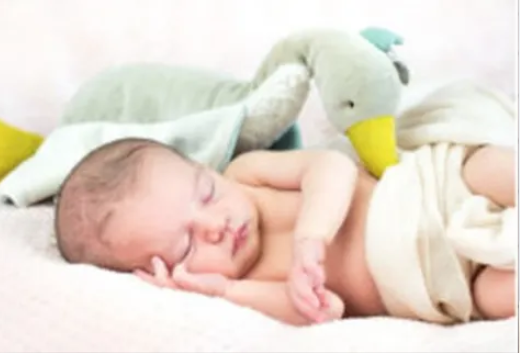 Dou Dous e animali di peluche