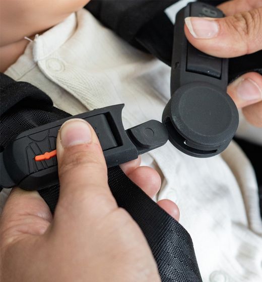 Tendi cintura Cernia per cintura BeSafe