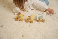 Arraste pintinhos holandeses