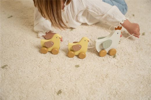 Arraste pintinhos holandeses