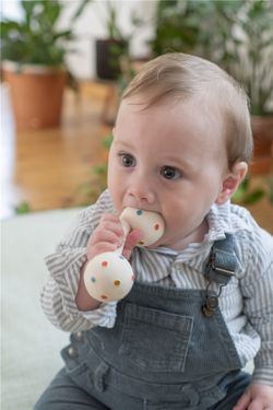 Ginásio para bebês com sininho holandês