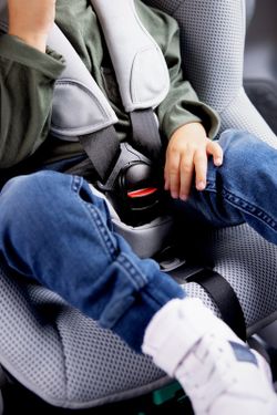 BeSafe Stretch B (40-125cm Plus Test)