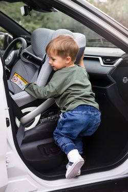 BeSafe Stretch B (40-125cm Plus Test)