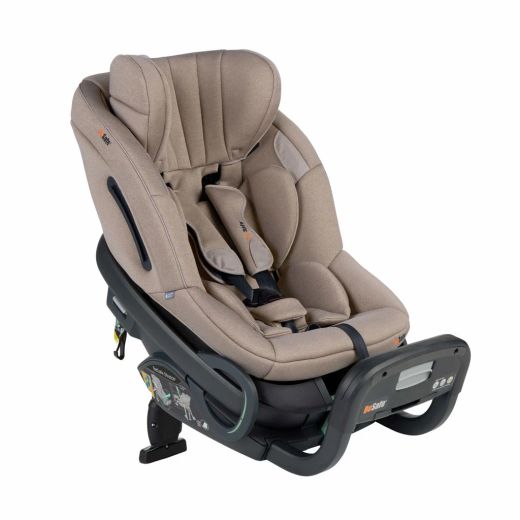 BeSafe Stretch² (61-125cm con Plus Test)