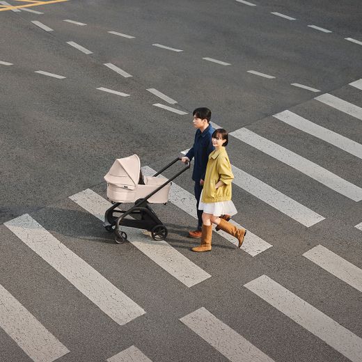 Bugaboo Dragonfly Plus con capazo selección