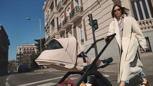Bugaboo Dragonfly Plus selección