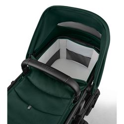 Bugaboo Fox 5 Renew completo Fern Green