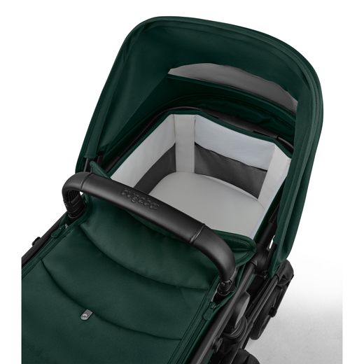 Bugaboo Fox 5 Renew completo Fern Green