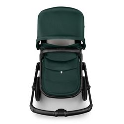 Bugaboo Fox 5 Renew completo Fern Green