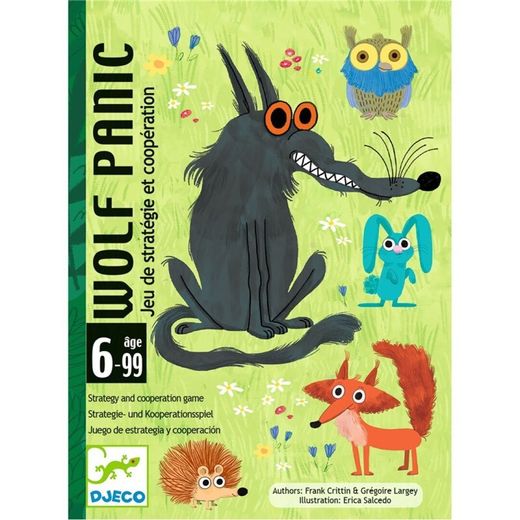 Djeco Cards