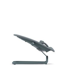 Cybex Gold Bouncer