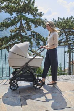 Sistema Inglesina Aptica Duo com alcofa (2025)