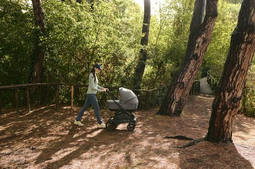 Inglesina Aptica XT System Duo con navicella