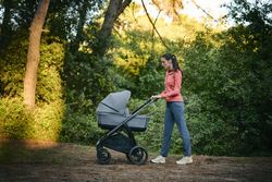 Inglesina Aptica XT System Duo con navicella