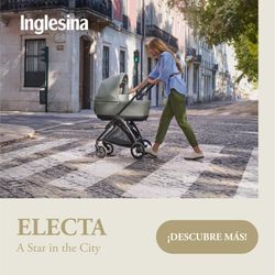 Inglesina Electa - System Duo with carrycot (2025)