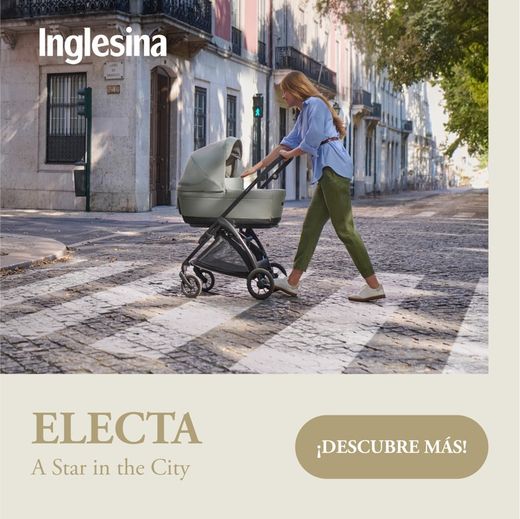 Inglesina Electa - System Duo with carrycot (2025)