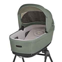 Inglesina Electa - System Duo with carrycot (2025)