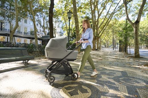 Inglesina Electa - System Duo with carrycot (2025)