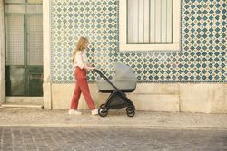 Inglesina Electa - System Duo with carrycot (2025)