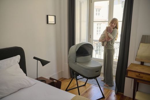 Inglesina Electa - System Duo with carrycot (2025)