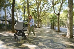 Inglesina Electa - System Duo with carrycot (2025)