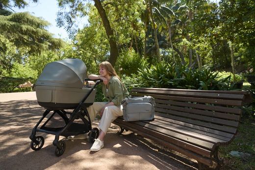 Inglesina Electa - System Duo with carrycot (2025)