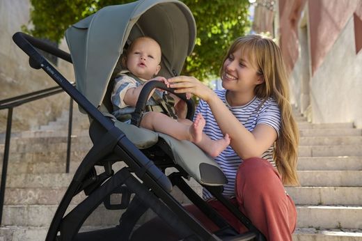 Inglesina Electa - System Duo with carrycot (2025)
