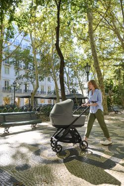 Inglesina Electa - System Duo with carrycot (2025)