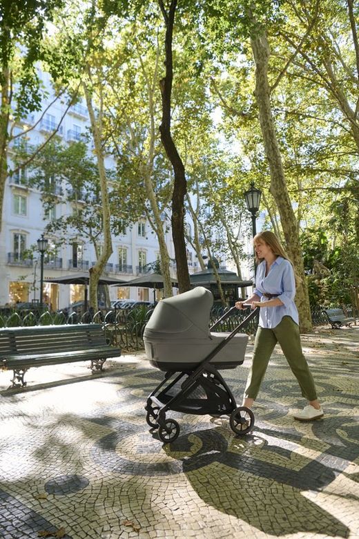 Inglesina Electa - System Duo with carrycot (2025)