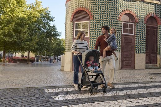 Inglesina Electa - System Duo with carrycot (2025)