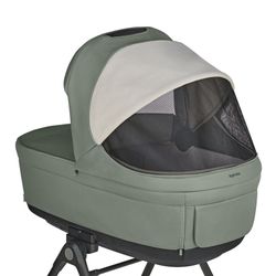 Inglesina Electa - System Duo with carrycot (2025)
