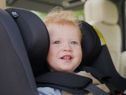 Joie i-Prodigi PRO Signature (incluye asesoría, prueba e instalación)