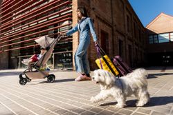 Joolz Aer2 silla de paseo