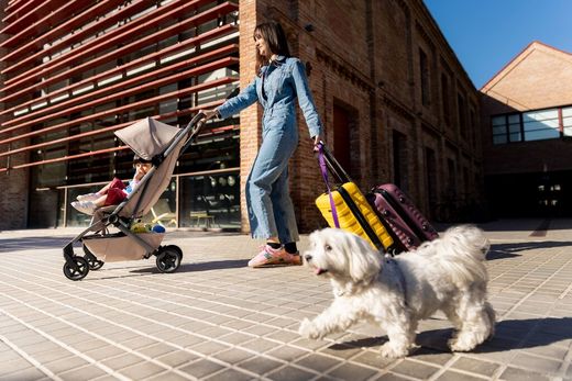 Joolz Aer2 silla de paseo