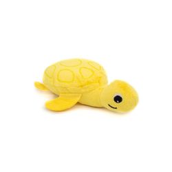 Les Ptipotos - Les Deglingos Turtles