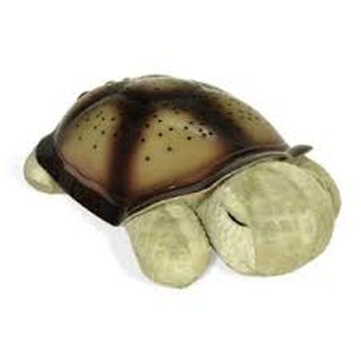 Twilight Cloud-B Turtle Night Light