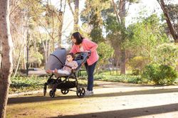 VentTwin + NIU Kinderwagen