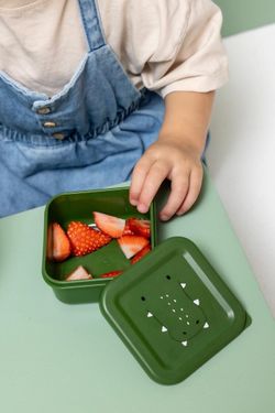 Snack box 3pcs. Trixie