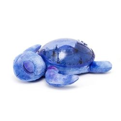 Tranquil Turtle Cloud-B