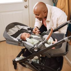 UPPAbaby CRUZ V3 silla