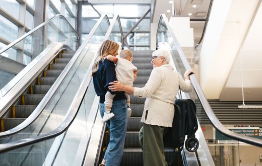 UPPAbaby MINU V3 cadira